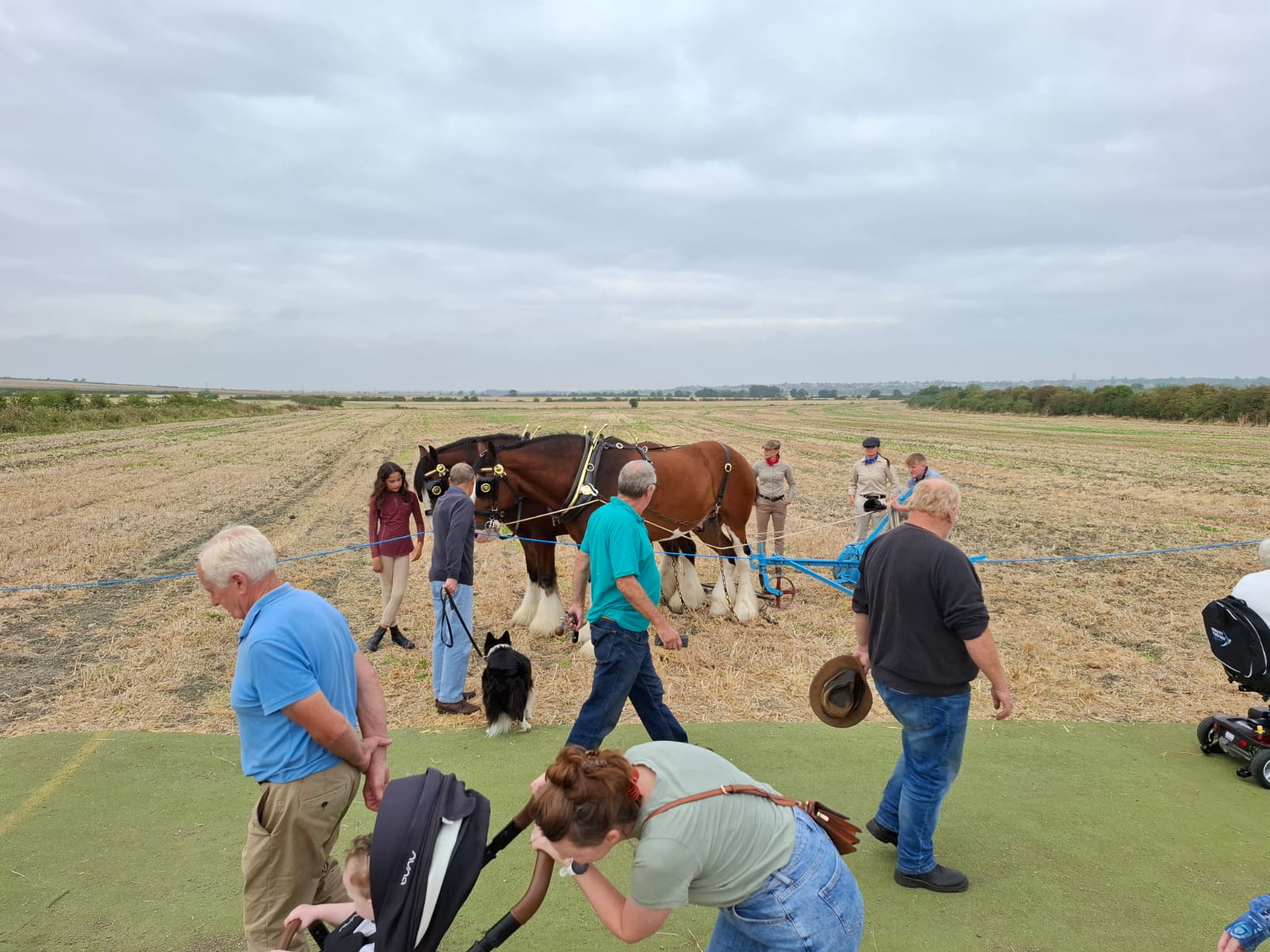Working Demonstrations Meet & Greet